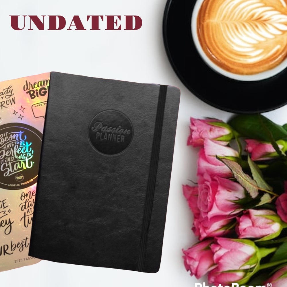 PASSION PLANNER- DAILY UNDATED*** LIMITED EDITION ***